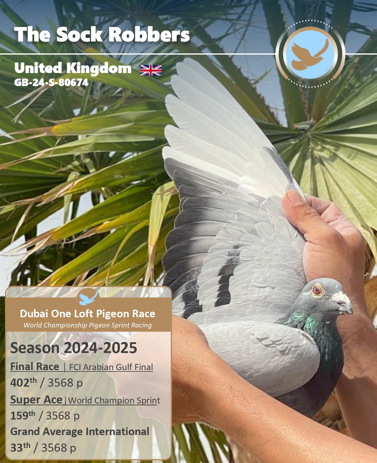 402. The Sock Robbers